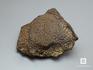 Метеорит Gebel Kamil, 4,3х3,5х1,8 см, 10-244/5, фото 1