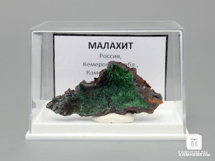 Малахит на породе, 4,9х2,3х1,4 см, 10-148/55, фото 2