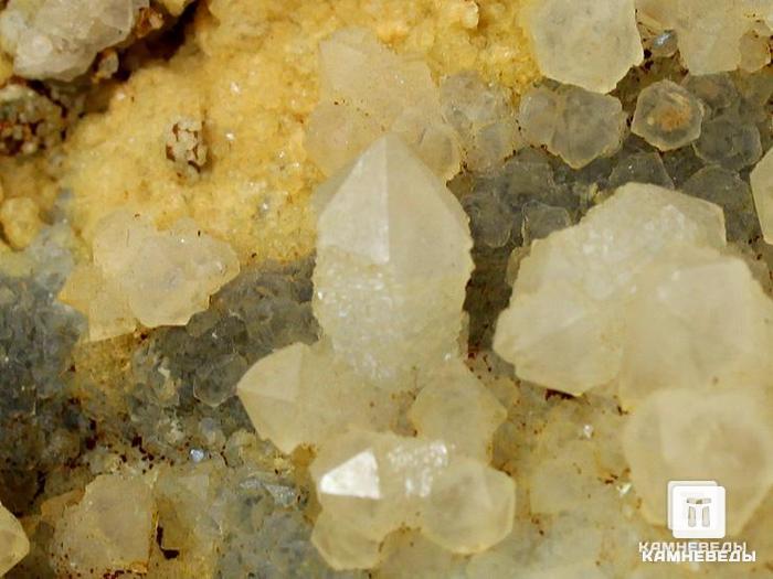 Кварц, скипетровидные кристаллы на породе, 10,7х8х6 см, 10-70/52, фото 3