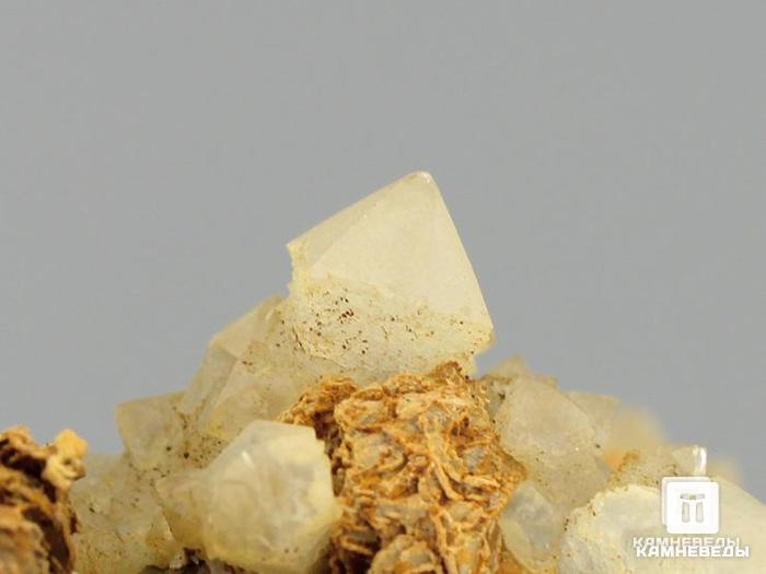 Скипетровидные кристаллы кварца с кальцитом и пиритом на породе, 12х9,5х9,4 см, 10-70/54, фото 3