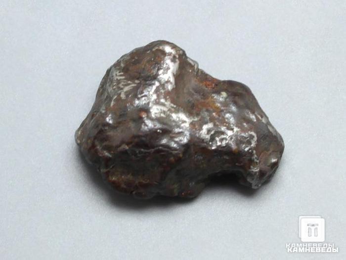 Метеорит Сихотэ-Алинь, осколок 4,23 г, 10-17/36, фото 2