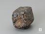 Альмандин (гранат), кристалл 1,7х1,5 см, 10-158/29, фото 1