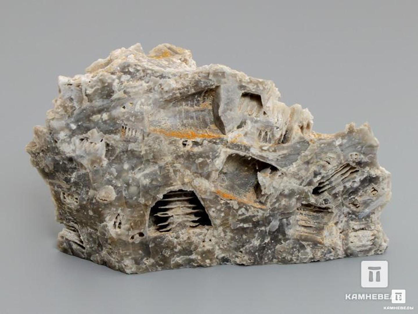Стебли морских лилий (лат. Crinoidea) в породе, 9,5х5,5 см, 8-49/11, фото 1