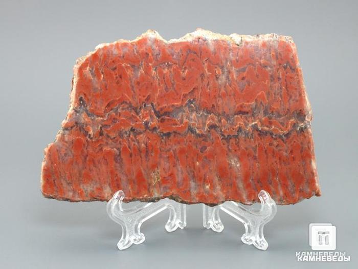 Строматолиты Segosia impexa из Сегозера, Карелия, 11-13 см, 11-65/19, фото 2