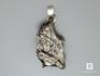 Кулон метеорит Кампо-дель-Сьело, 3,9х2,4х2,3 см, 40-79/44, фото 3