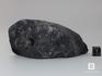 Строматолиты Cyathotes nigozerica из Нигозера, Карелия, 10,2х5х2,3 см, 10-477, фото 2