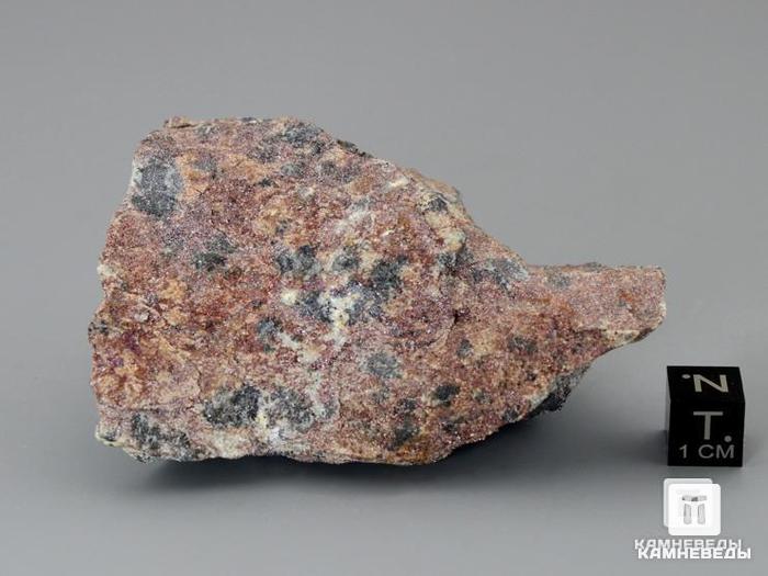 Фрейденбергит с кричтонитом и рутилом, 7,5х4,9х2,4 см, 10-406/1, фото 2