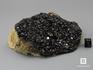 Андрадит (меланит) с пиритом, друза 12х8,4х4,2 см, 10-125/39, фото 2