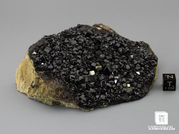 Андрадит (меланит) с пиритом, друза 12х8,4х4,2 см, 10-125/39, фото 2