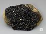 Андрадит (меланит) с пиритом, друза 12х8,4х4,2 см, 10-125/39, фото 1