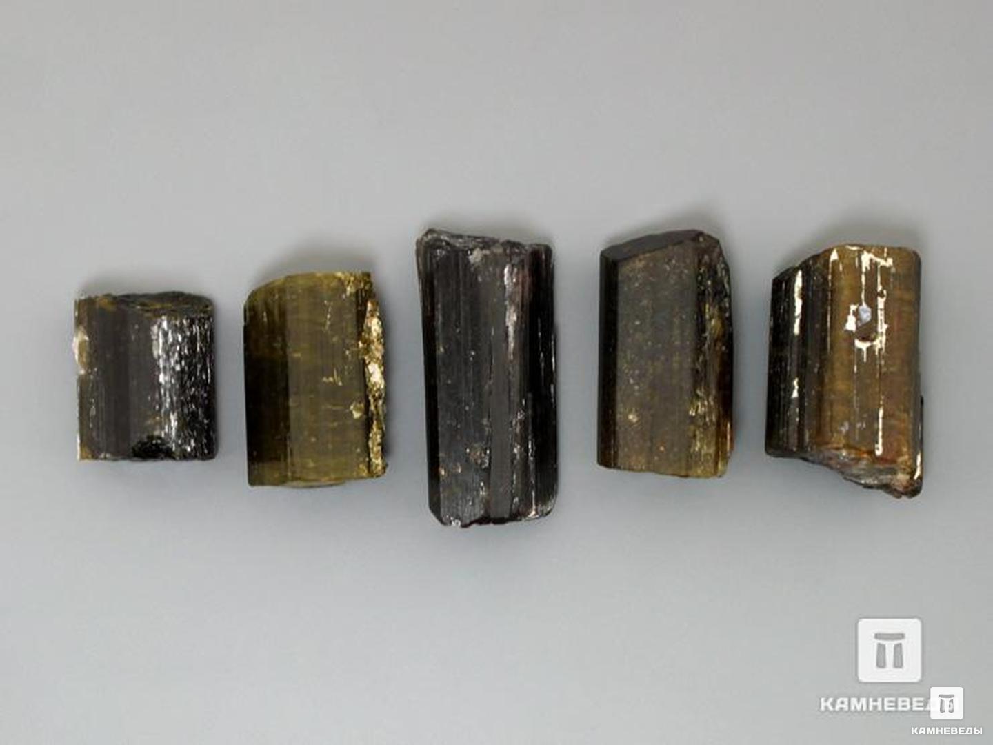 Турмалин, кристалл 1,5-2,5 см, 10-76/31, фото 3