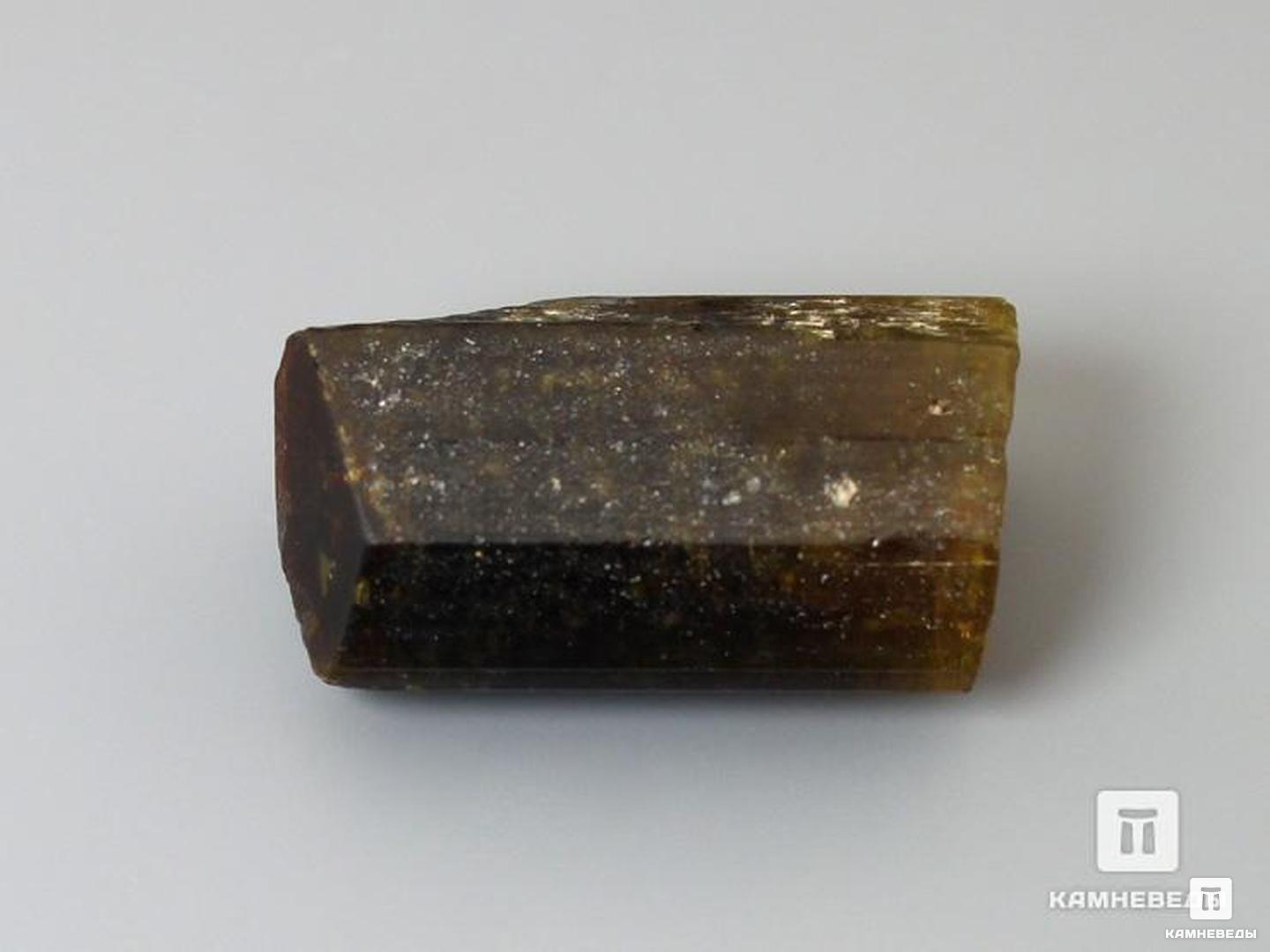 Турмалин, кристалл 1,5-2,5 см, 10-76/31, фото 1