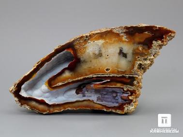Агат, Халцедон. Агат с халцедоном, полированный срез 14,5х8,6х4 см