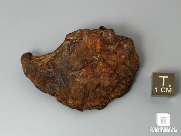Метеорит Gebel Kamil, 5,3х3,8х2,1 см, 10-244/8, фото 2
