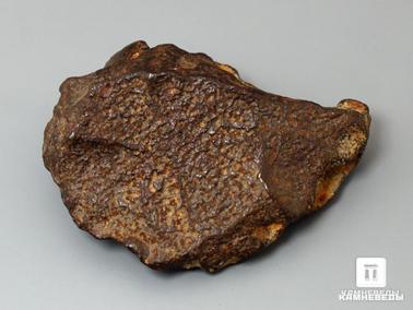 Метеориты. Метеорит Gebel Kamil, 5,3х3,8х2,1 см