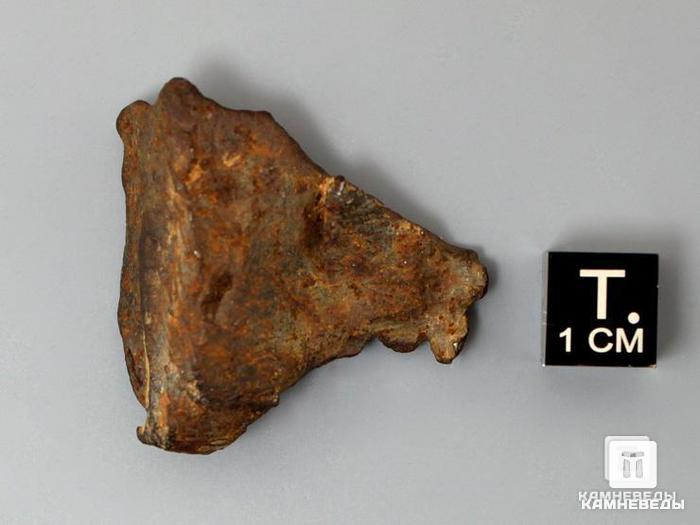 Метеорит Gebel Kamil, 3,3х3,3х1,3 см, 10-244/10, фото 2