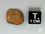 Метеорит Gao-Guenie, 1-1,5 см, 10-249/10, фото 3