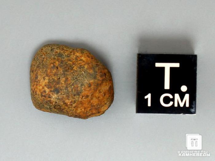 Метеорит Gao-Guenie, 1-1,5 см, 10-249/10, фото 3