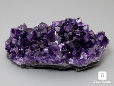 Аметист. Аметист тёмный, друза 8х6,5 см