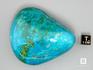 Хризоколла, полированная галька 6,8х5,7х3,6 см, 12-116/13, фото 2