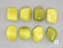 Серпентинит желто-виноградный, галтовка 2-2,5 см, 12-109/1, фото 1