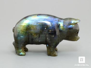 Лабрадор. Поросенок из лабрадора, 5,7х3,3х2,3 см