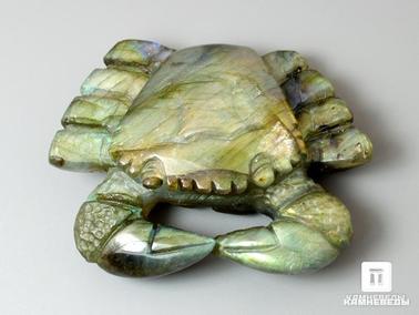 Лабрадор. Краб из лабрадора, 4,9х3,7х1,5 см