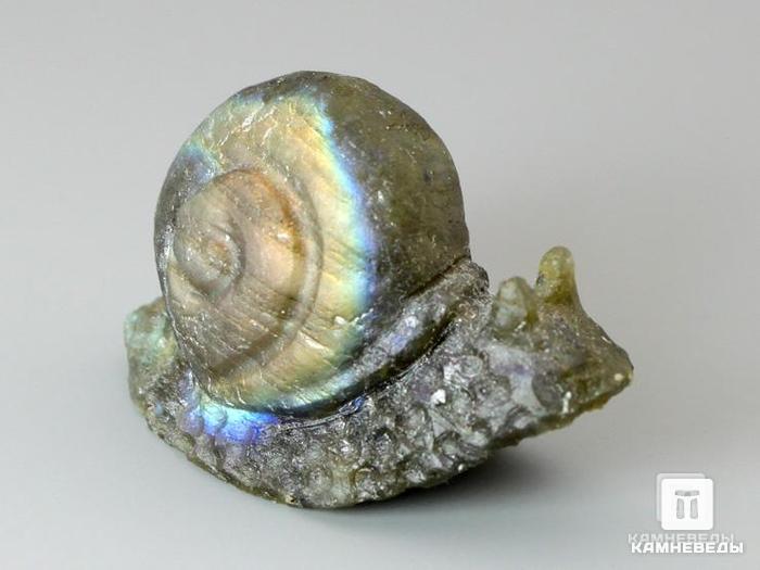 Улитка из лабрадора, 3,6х2,3х1,5 см, 23-115/7, фото 2