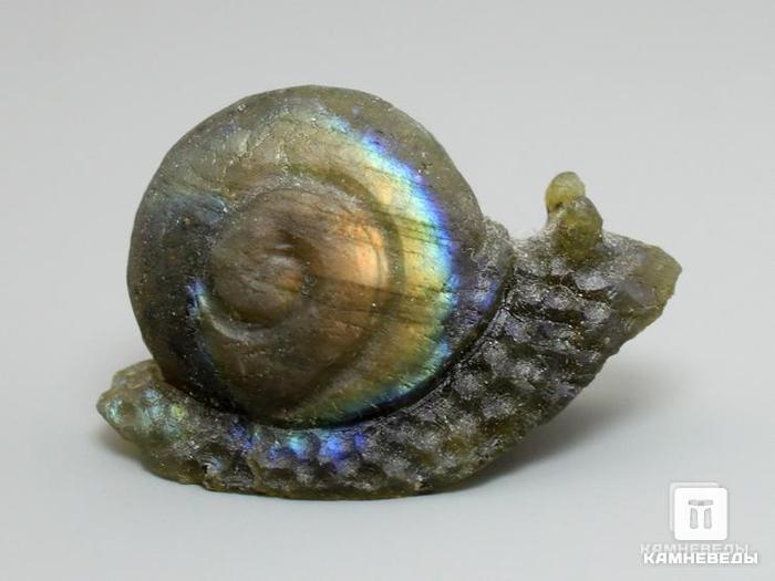 Улитка из лабрадора, 3,6х2,3х1,5 см, 23-115/7, фото 1