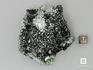 Клинохлор (серафинит) с уваровитом, 7х6,6х3,5 см, 10-136/12, фото 3