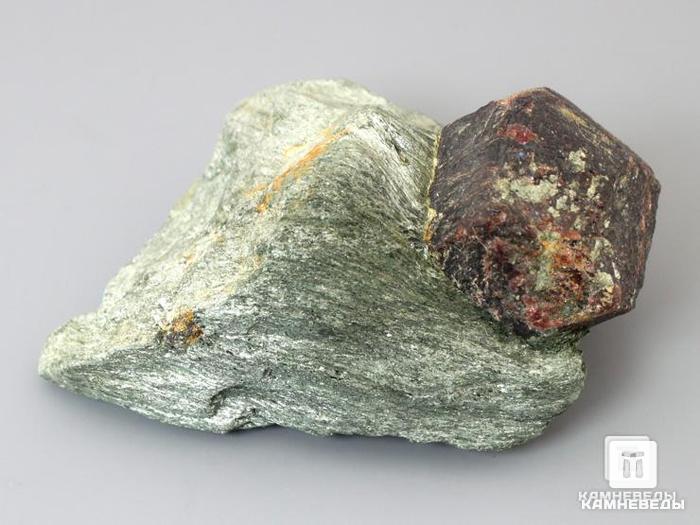 Гранат альмандин в сланце, 7,2х4,9х3,6 см, 10-297/14, фото 1