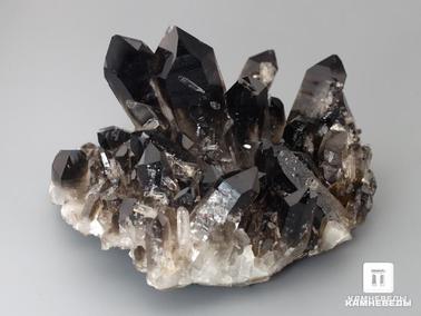 Дымчатый кварц, Раухтопаз. Раухтопаз (дымчатый кварц), друза 11,3х10,2х6 см