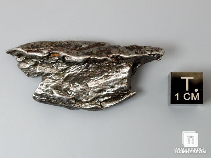Метеорит Кампо-дель-Сьело, 31,74 г, 10-333/11, фото 2