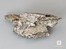 Метеорит Кампо-дель-Сьело, 31,74 г, 10-333/11, фото 1