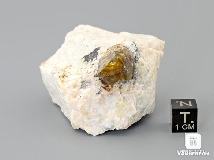 Циркон, кристалл в породе 5,5-7,5 см, 10-61/9, фото 3