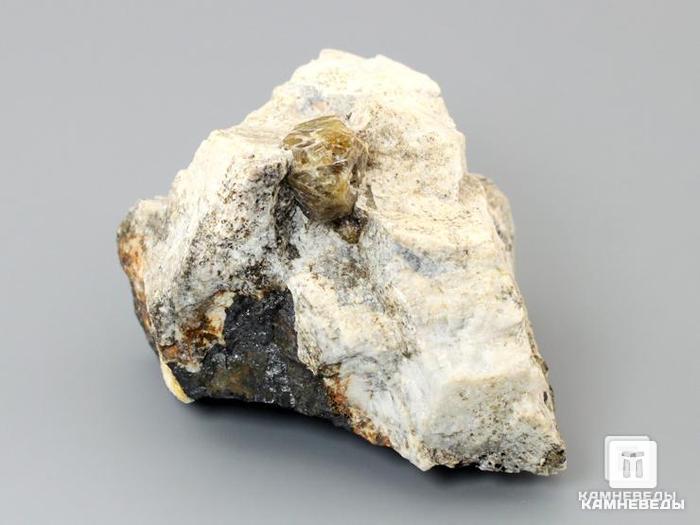 Циркон, кристалл в породе 5,5-7,5 см, 10-61/9, фото 1