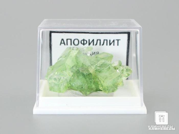 Апофиллит оптический, 3,5х2,6х1,8 см, 10-120/24, фото 3