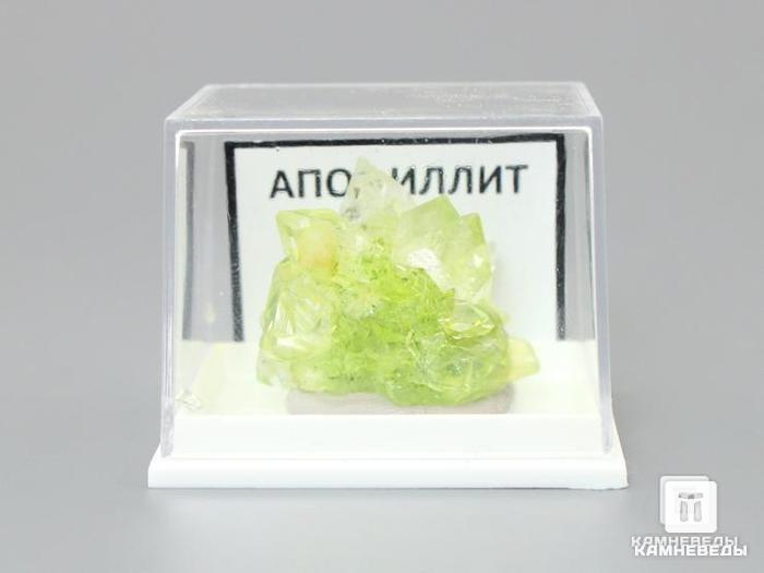 Апофиллит оптический, 2,7х2,6х2,1 см, 10-120/25, фото 3
