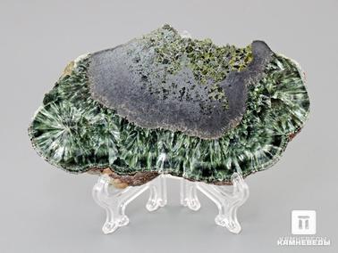 Клинохлор, Серафинит. Клинохлор (серафинит), полированный срез 10,9х6,5х0,9 см