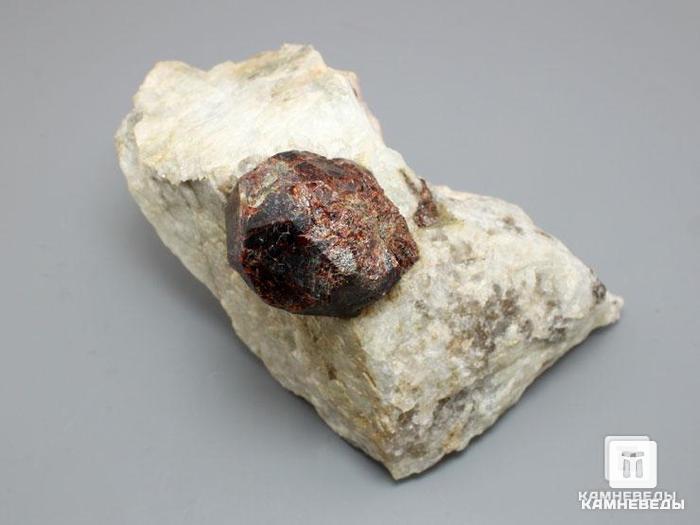 Альмандин (гранат) в микроклине, 11,1х7х6 см, 10-530/1, фото 2