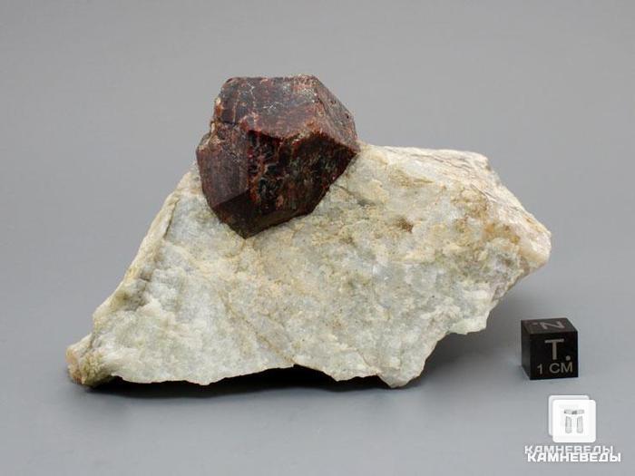 Альмандин (гранат) в микроклине, 11,1х7х6 см, 10-530/1, фото 3