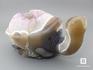 Черепаха из агата с жеодой аметиста, 22х11х10,9 см, 23-116/2, фото 3