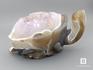 Черепаха из агата с жеодой аметиста, 22х11х10,9 см, 23-116/2, фото 4