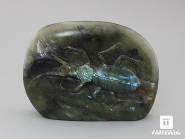 Лабрадор. Жук усач из лабрадора, 10,5х7,4х2,6 см