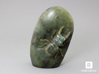 Лабрадор. Жук олень из лабрадора, 10,1х6,5х4 см