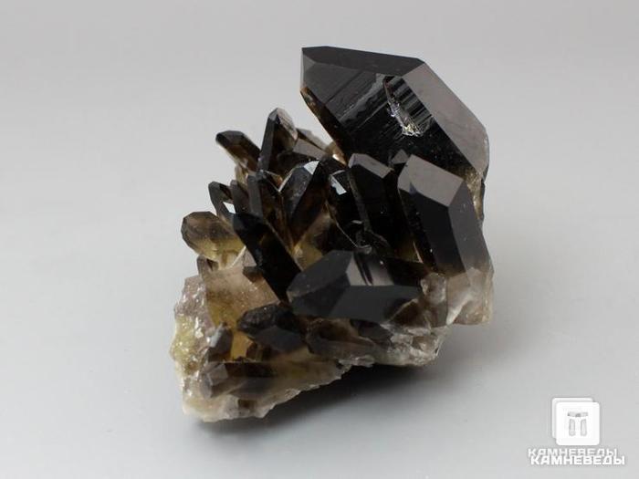 Раухтопаз (дымчатый кварц), друза 6-8,5 см, 10-100/60, фото 2