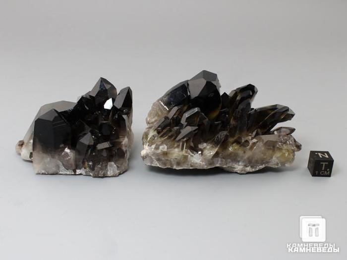 Раухтопаз (дымчатый кварц), друза 6-8,5 см, 10-100/60, фото 4