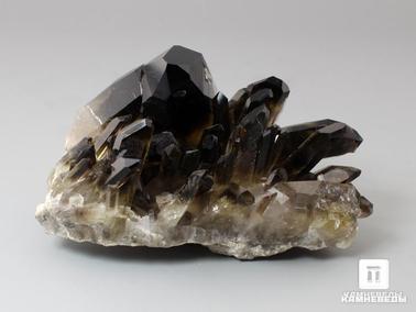Дымчатый кварц, Раухтопаз. Раухтопаз (дымчатый кварц), друза 6-8,5 см