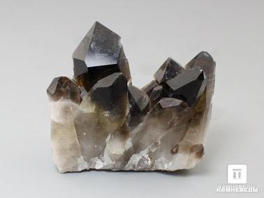 Дымчатый кварц, Раухтопаз. Раухтопаз (дымчатый кварц), друза 5х3 см
