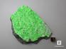 Уваровит (зелёный гранат), 12х8х2,5 см, 10-111/28, фото 3